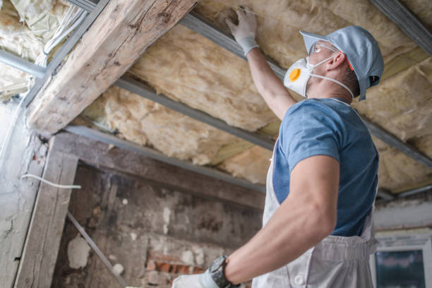 Professional Insulation Contractor in West Fork, AR
